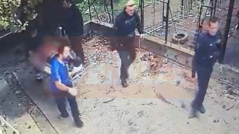 Σε κρίσιμη κατάσταση ο 76χρονος που δέχτηκε επίθεση από το ροτβάιλερ στην Καλαμάτα - Δείτε πώς ο σκύλος άρπαξε τον ίδιο τον ιδιοκτήτη του