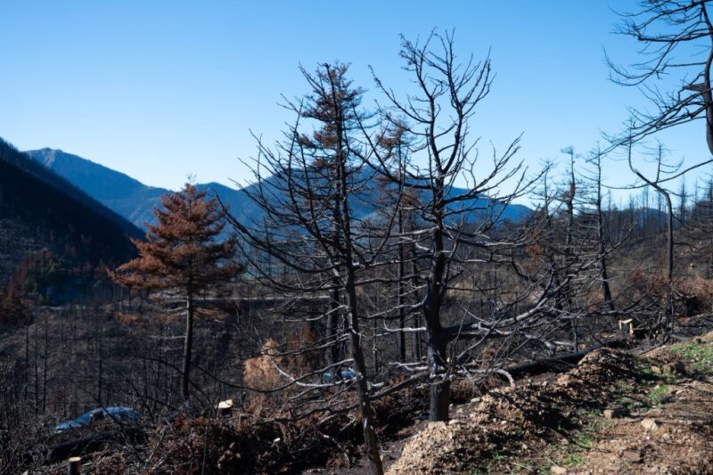 Υπεγράφη η έγκριση του Εθνικού Χάρτη Εκτίμησης Κινδύνου Δασικών Πυρκαγιών