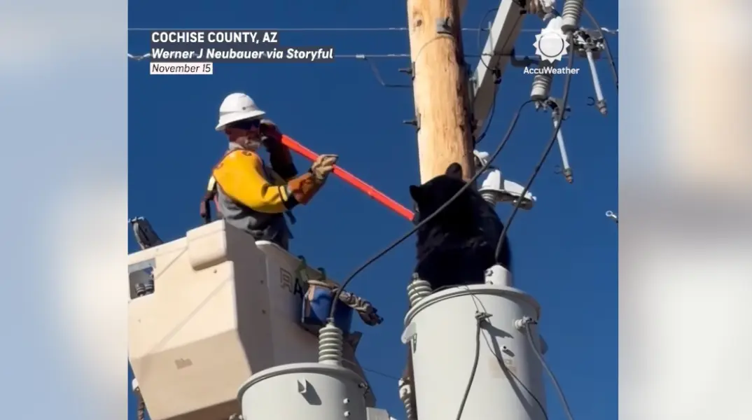 Τεχνικός έσωσε αρκούδα που είχε σκαρφαλώσει σε κολώνα ηλεκτροδότησης στην Αριζόνα...VIDEO