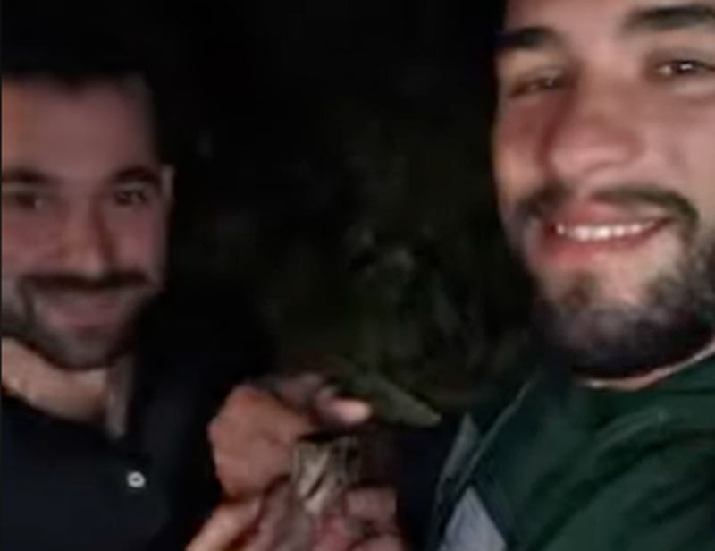 Διάσωση και απελευθέρωση μπεκάτσας από δυο κυνηγούς στην Κεφαλλονιά