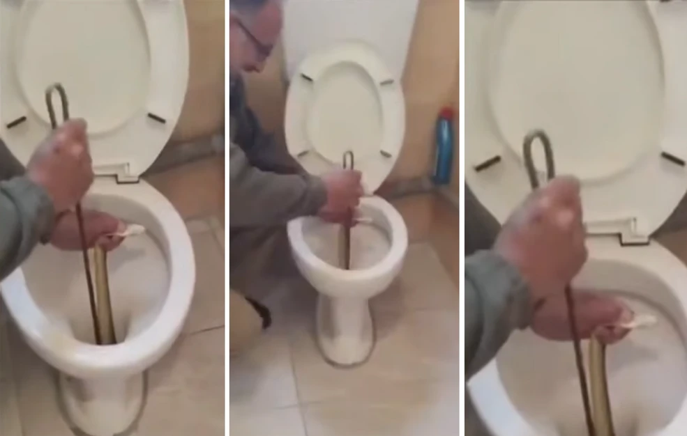 Καστοριά: Βρήκε στη λεκάνη φίδι που άγγιζε τα δυο μέτρα – Ζούσε εκεί για δυο εβδομάδες