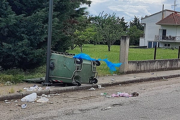 arkouda_mesop Αναποδογυρισμένοι κάδοι απορριμμάτων πίσω από το Γενικό Λύκειο Μεσοποταμίας μετά από εμφάνιση αρκούδας