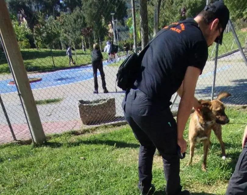 Έλεγχοι σε ιδιοκτήτες ζώων συντροφιάς στη Θεσσαλονίκη