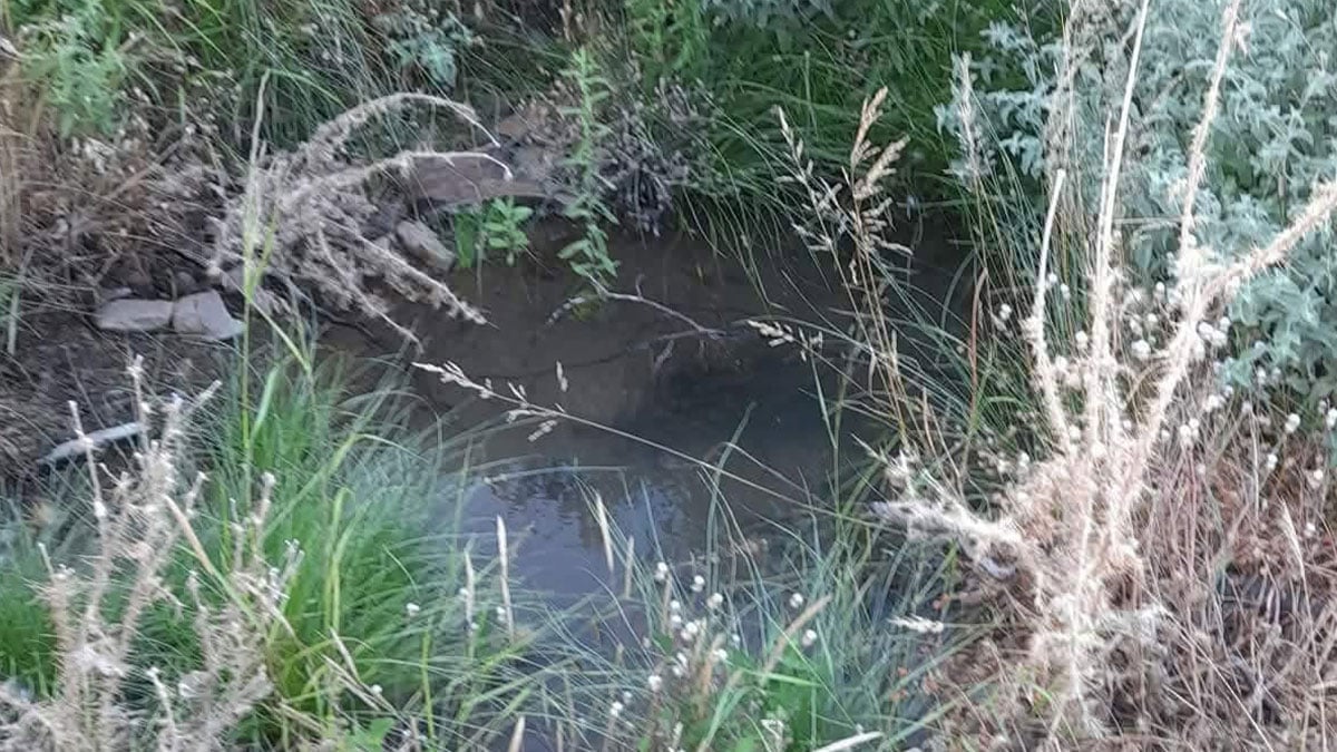 Μικρό φυσικό φράγμα από πέτρες σε ρέμα της Χίου για τη συγκράτηση νερού και την ενίσχυση της βιοποικιλότητας.