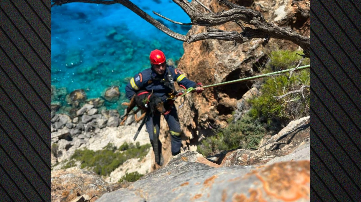 Πυροσβεστική διάσωση σκύλου από γκρεμό στην παραλία Πισίνες στη Ζάκυνθο