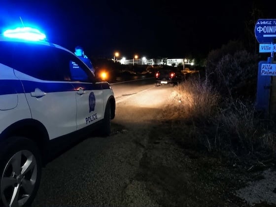 Περίπου 40 αγριόχοιροι προκάλεσαν τροχαίο στην Αλεξανδρούπολη