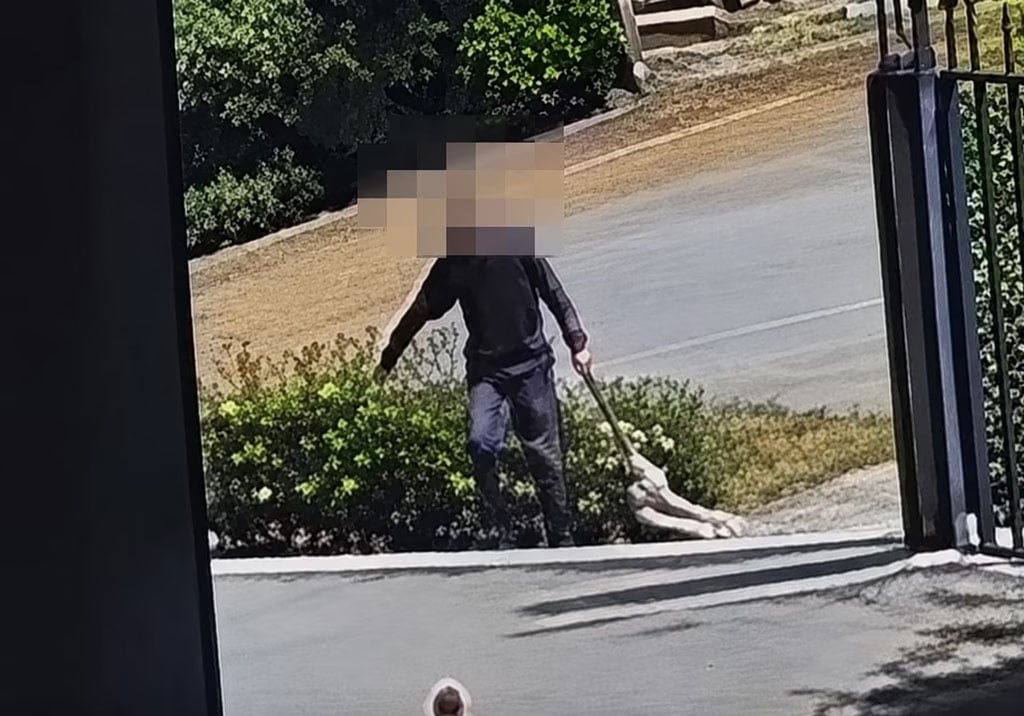 Άστρος Κυνουρίας νεκρός σκύλος σε κάδο απορριμμάτων