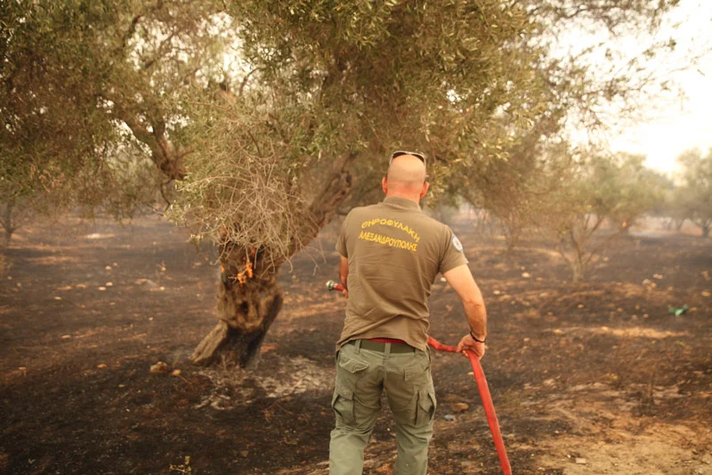 Κυνήγι και πυροπροστασία στις 20 Αυγούστου Κυνηγός στην ελληνική ύπαιθρο κατά την αντιπυρική περίοδο