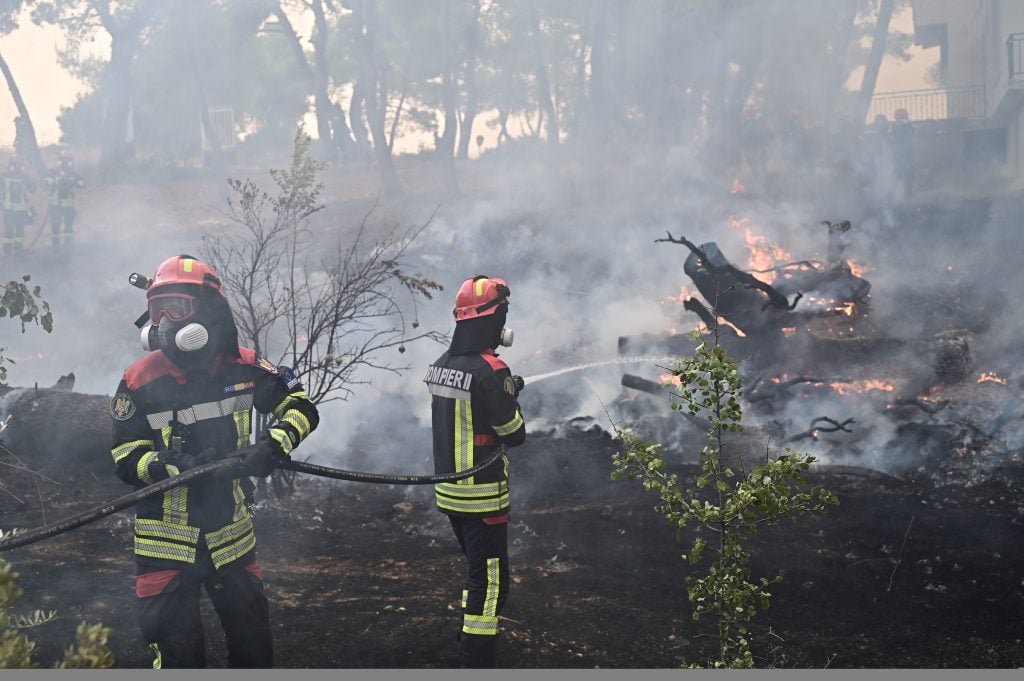 Κυνηγοί και θηροφύλακες στηρίζουν την άγρια ζωή σε καμένες περιοχές