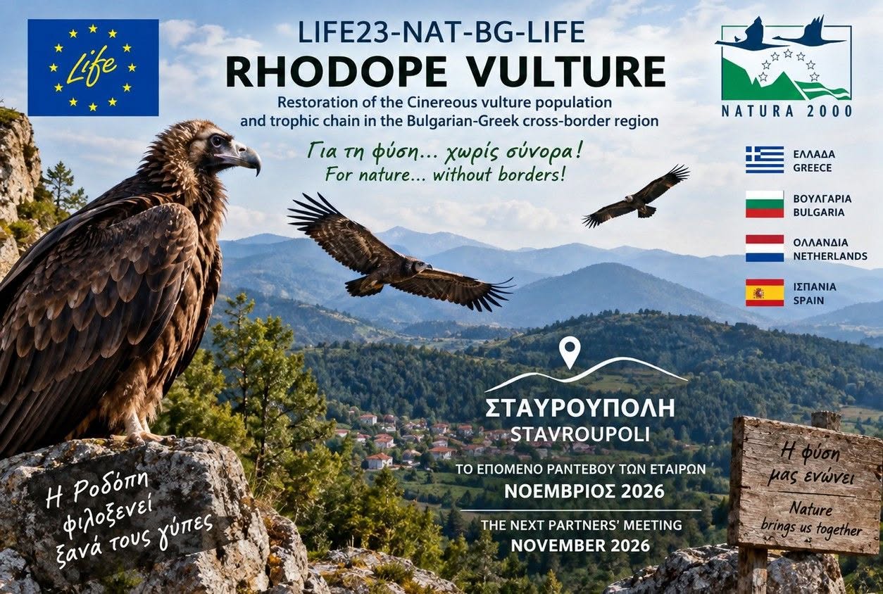 Σταυρούπολη – LIFE Rhodope Vulture Σταυρούπολη – LIFE Rhodope Vulture Νοέμβριος 2026