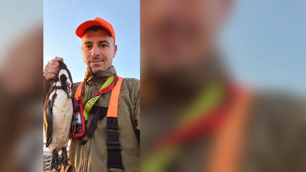 Κυνηγός με πιγκουίνο σε σατιρική εικόνα για τους αντικυνηγούς του Facebook